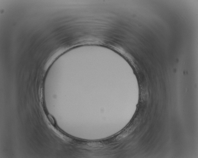 X0000073451383200608251655