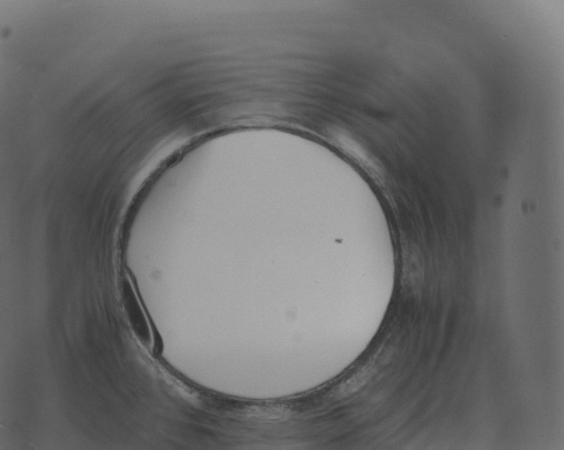 X0000073451384200608251655