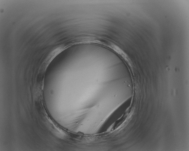 X0000073451385200608251655