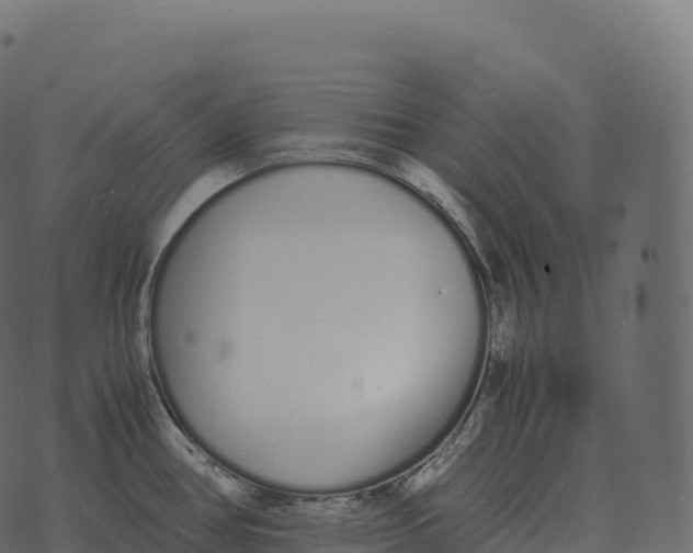 X0000073451386200608251655