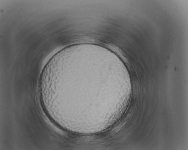 X0000073451387200608251655