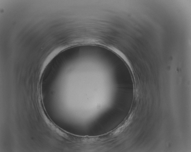 X0000073451389200608251655