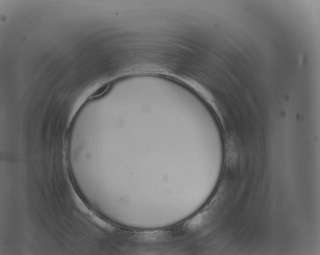 X0000073451390200608251655