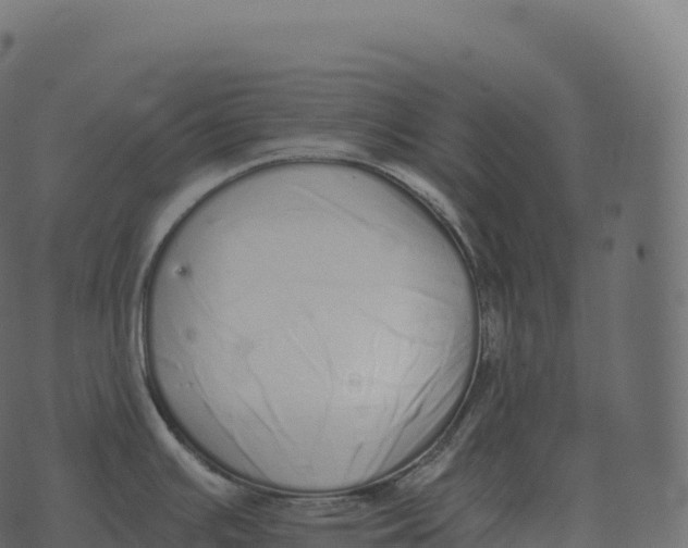 X0000073451391200608251655