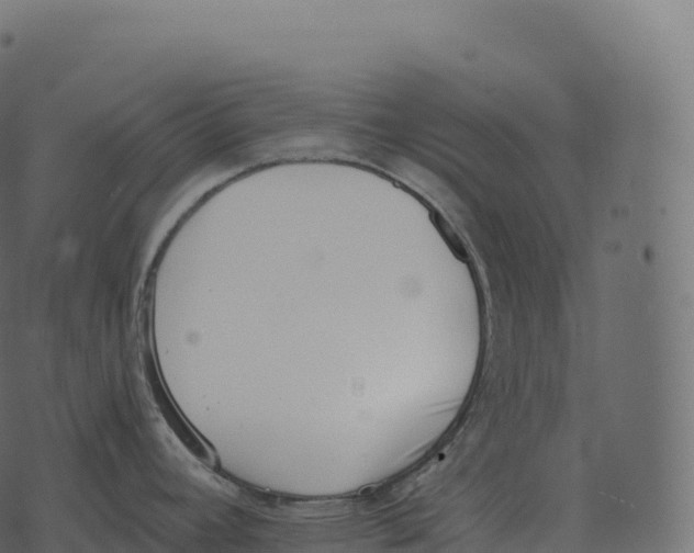 X0000073451392200608251655