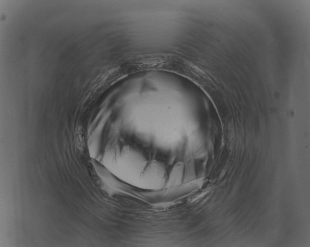 X0000073451394200608251654