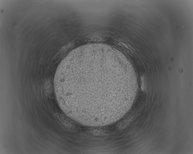 X0000073451395200608251654