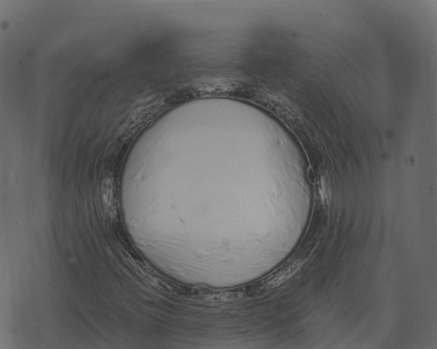 X0000073451396200608251654