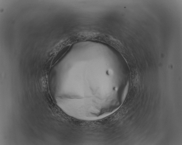 X0000073451397200608251654