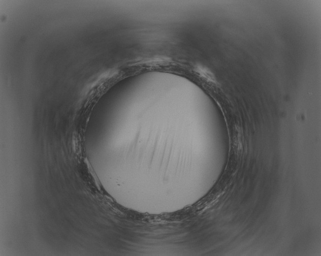 X0000073451398200608251654