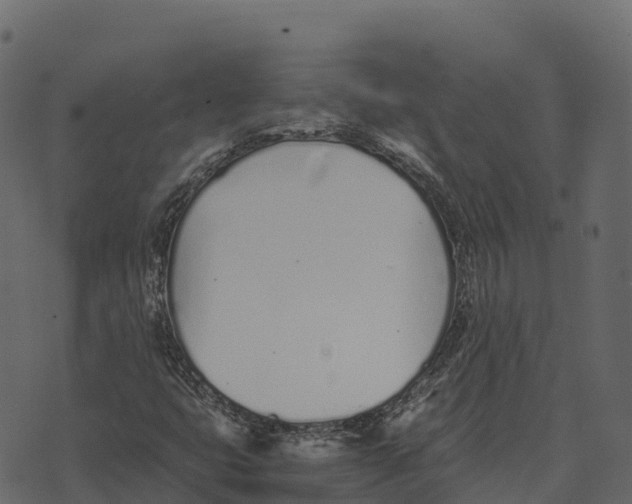 X0000073451399200608251654