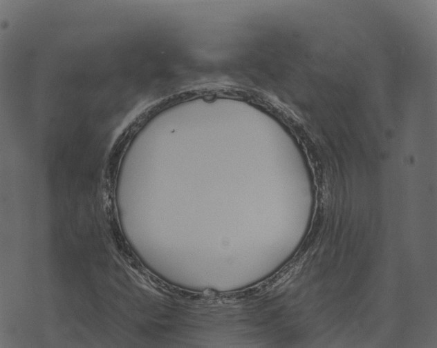 X0000073451400200608251654