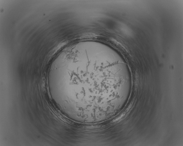 X0000073451401200608251654