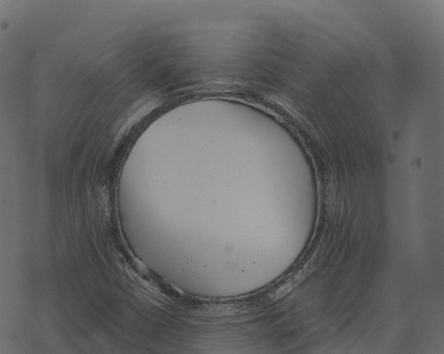 X0000073451402200608251654