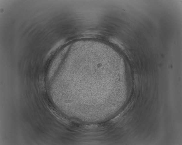 X0000073451403200608251654