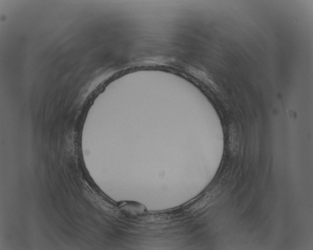 X0000073451404200608251654