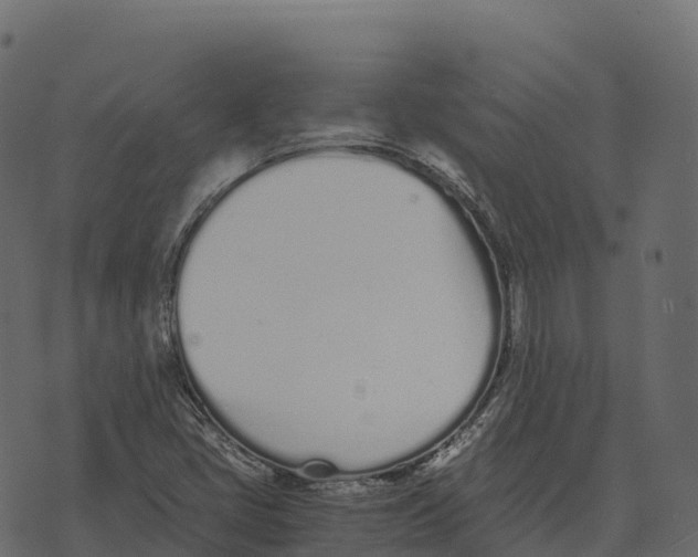 X0000073451405200608251654