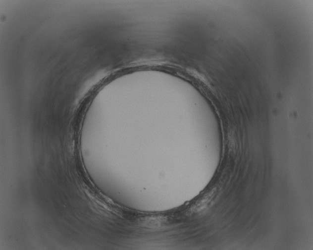 X0000073451406200608251654