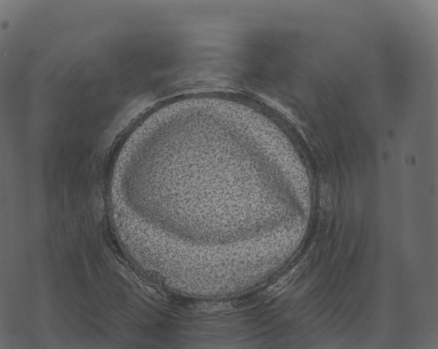 X0000073451407200608251654