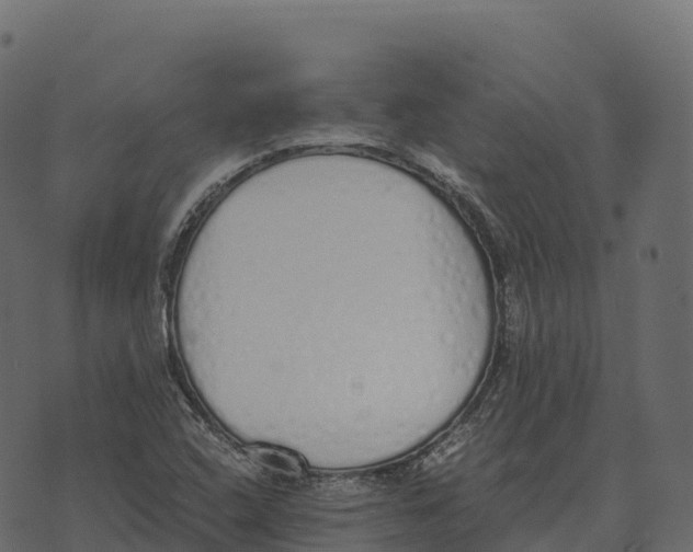 X0000073451408200608251654