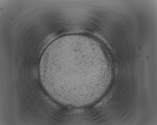 X0000073451409200608251654