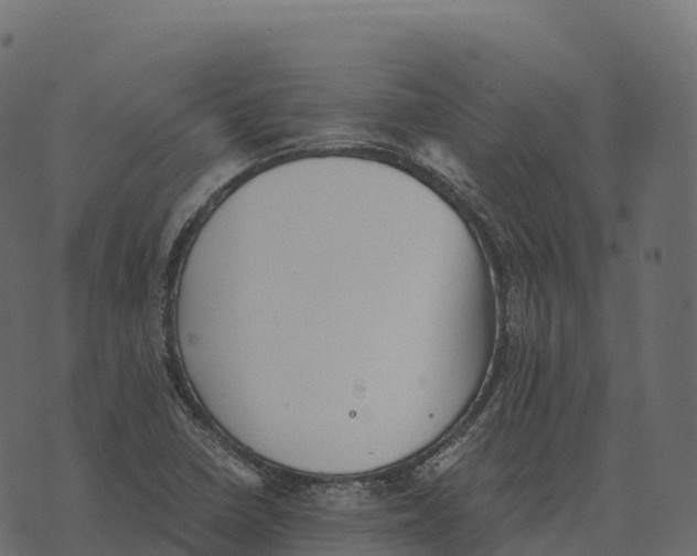 X0000073451410200608251654