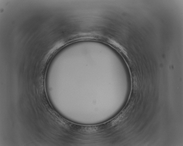 X0000073451411200608251654