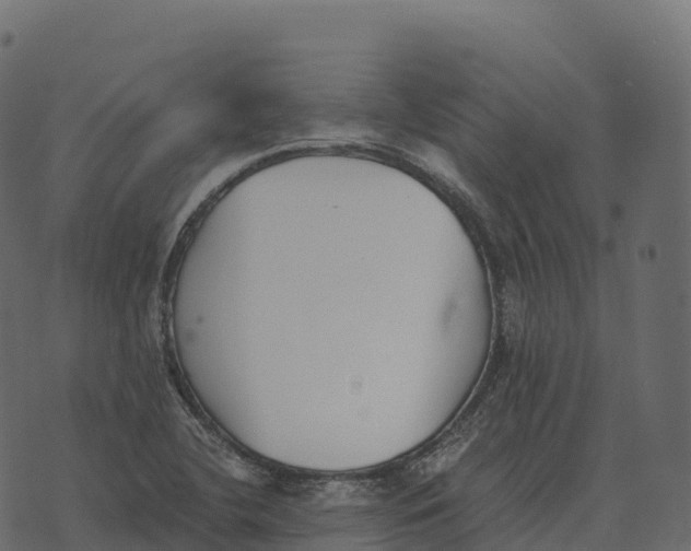 X0000073451412200608251654