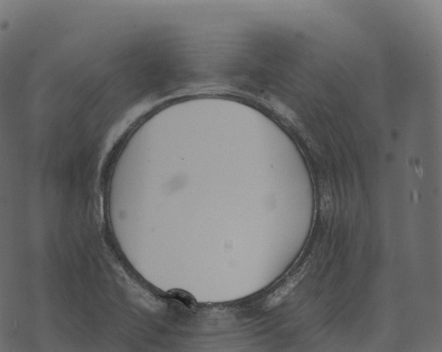 X0000073451414200608251654