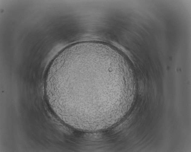 X0000073451415200608251654