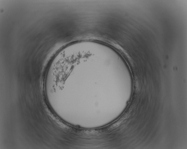 X0000073451416200608251654