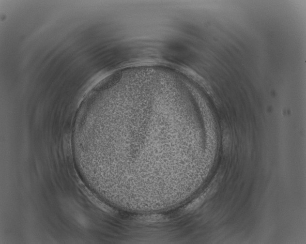 X0000073451417200608251654