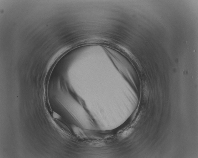 X0000073451418200608251654