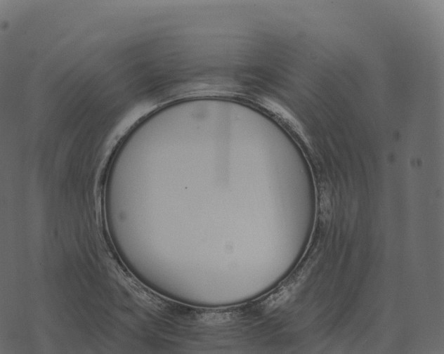 X0000073451419200608251654