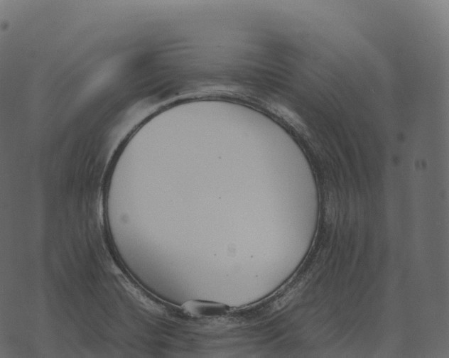 X0000073451420200608251654