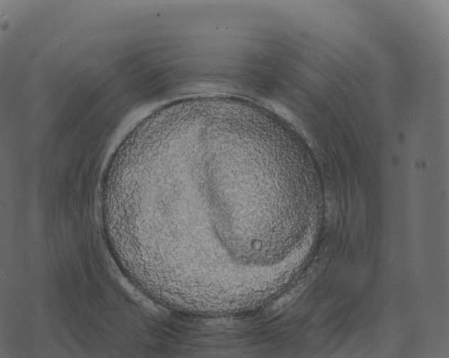 X0000073451421200608251654