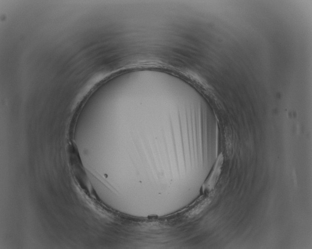 X0000073451422200608251654