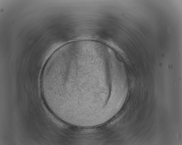 X0000073451423200608251654