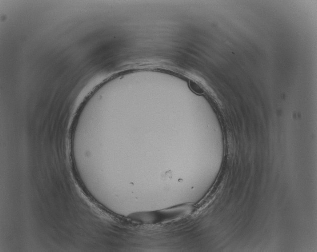 X0000073451424200608251654