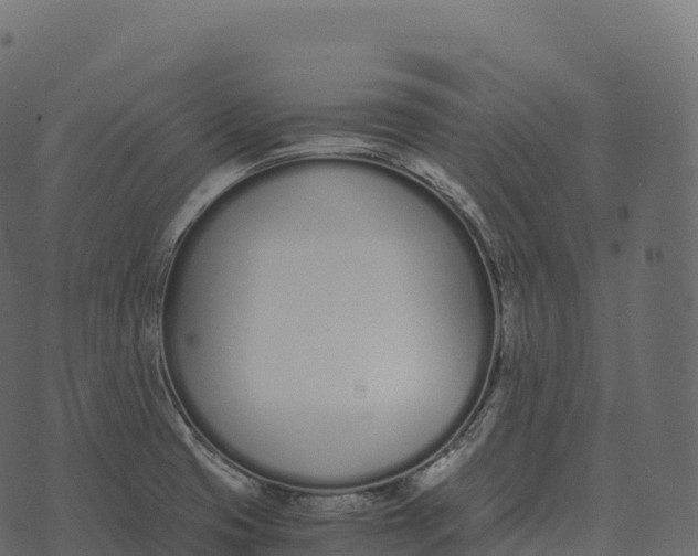 X0000073451425200608251654