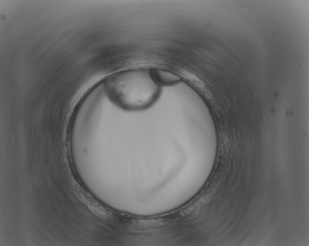 X0000073451427200608251654