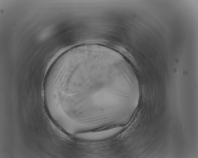 X0000073451428200608251654