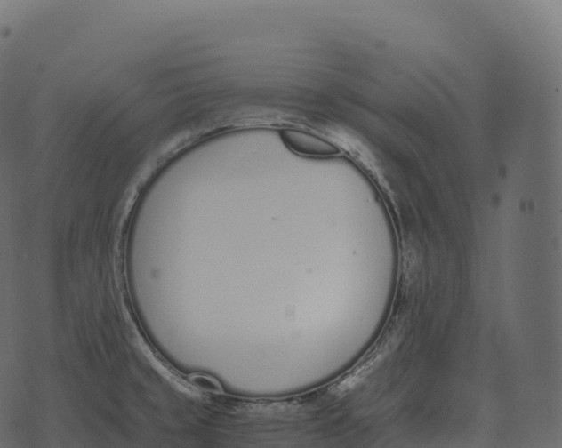 X0000073451429200608251654