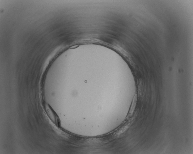 X0000073451430200608251654