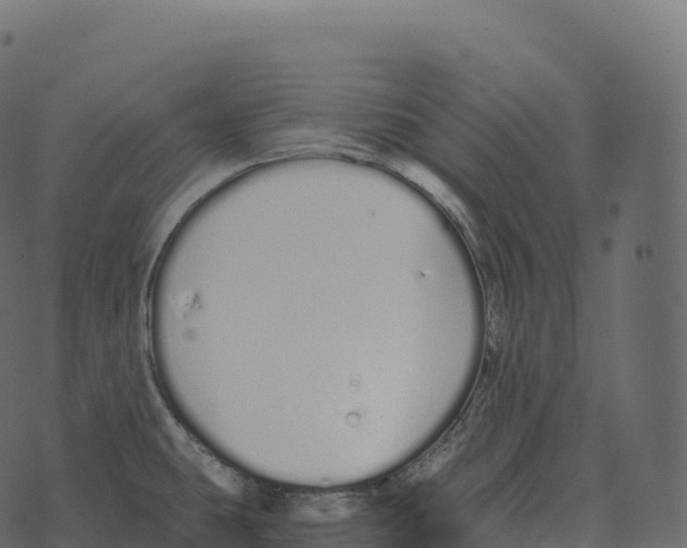 X0000073451431200608251654