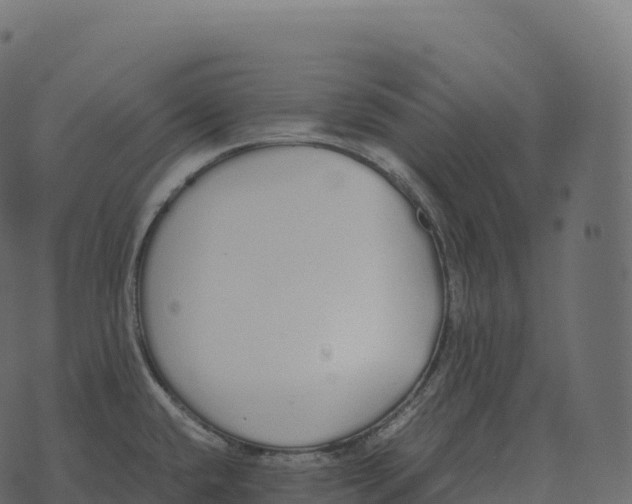 X0000073451432200608251654