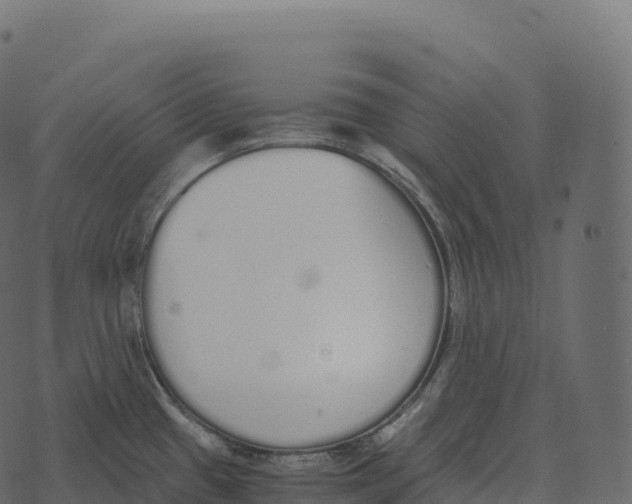 X0000073451433200608251654