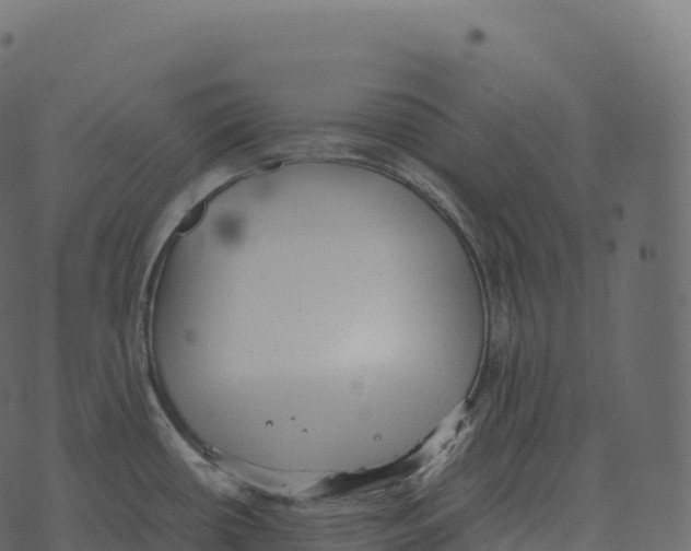 X0000073451434200608251654