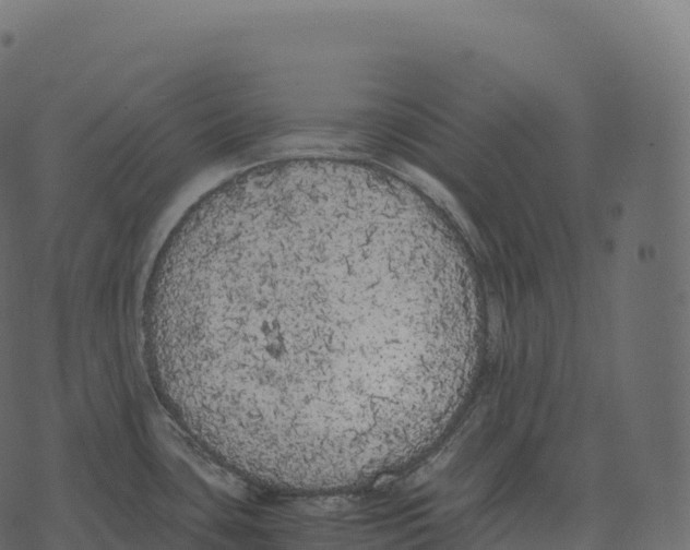 X0000073451435200608251655