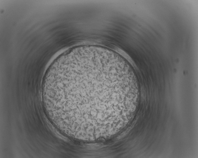 X0000073451436200608251655